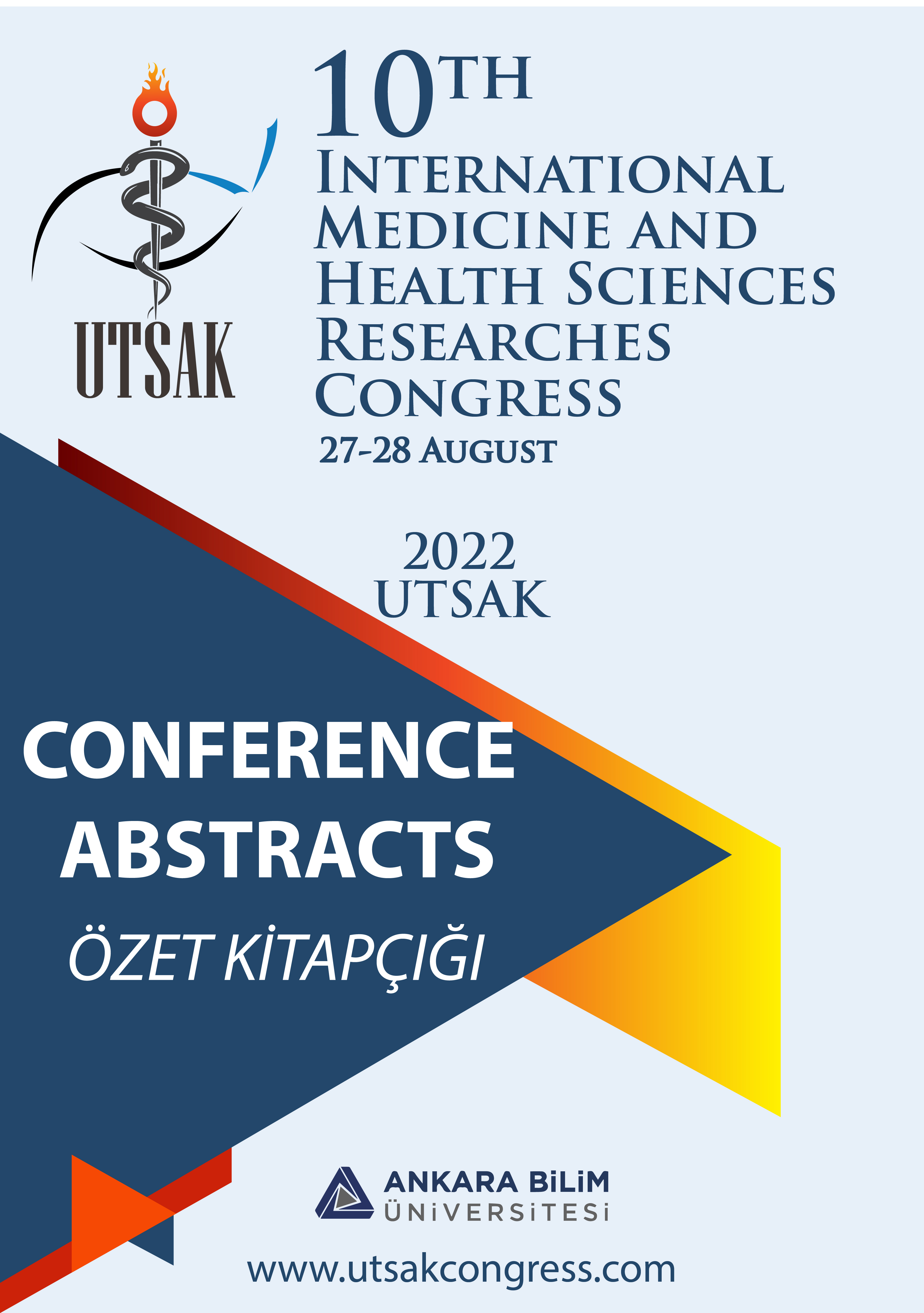 Özet Kitabı